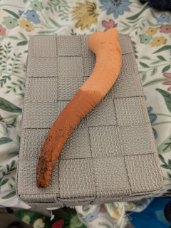 Willy the Water Sensor Worm Large